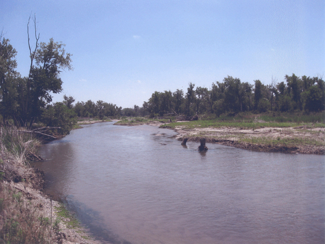 West of Lexington July 2009