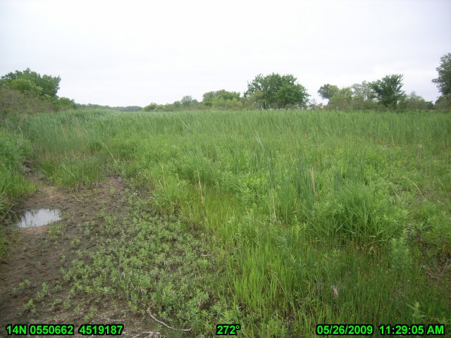 West of Hwy 281 May 2009