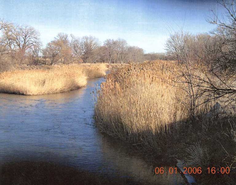 Willow Island 2006